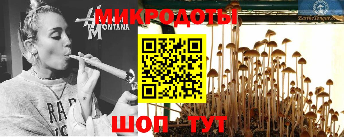 Дмитров  купить  цена  Вход с VPN  Псилоцибиновые грибы прущие грибы 